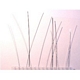 SUSPENSIONS DE PENDULES '400 JOURS' 0,051mm.