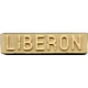 BATON DE MASTIC A CIRE : PEUPLIER 50-55g